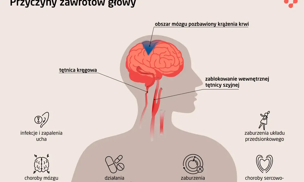 Przyczyny zawrotów głowy u osób starszych: blokada tętnicy, choroby mózgu, infekcje ucha, zaburzenia metaboliczne i sercowo-naczyniowe.