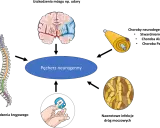 Ilustracja przedstawia mózg, rdzeń kręgowy, neuron i glukometr, sugerując, czy pęcherz neurogenny da się wyleczyć.